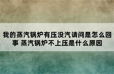 我的蒸汽锅炉有压没汽请问是怎么回事 蒸汽锅炉不上压是什么原因